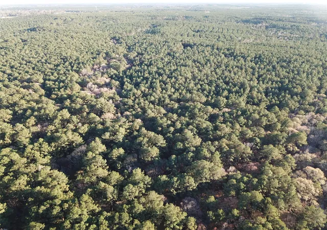 50th image of Tbd County Road 405, San Augustine, TX 75972 | MLS# 72165624