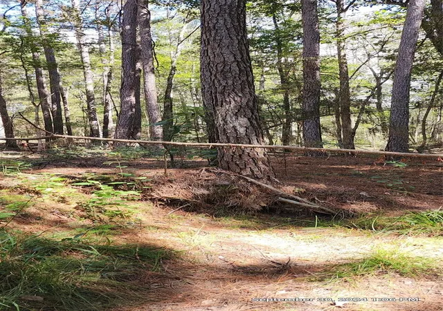 image of Tbd County Road 405, San Augustine, TX 75972 | MLS# 72165624