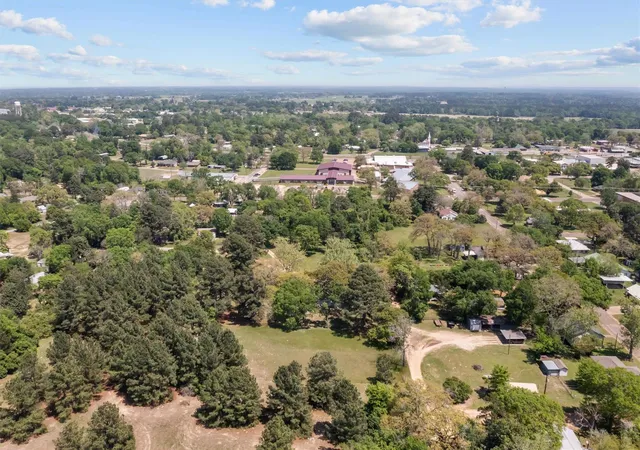 31st image of 319 N Howard St, Grapeland, TX 75844 | MLS# 42941857