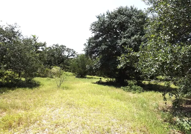 2nd image of Tbd Fm 109, Columbus, TX 78934 | MLS# 47754952