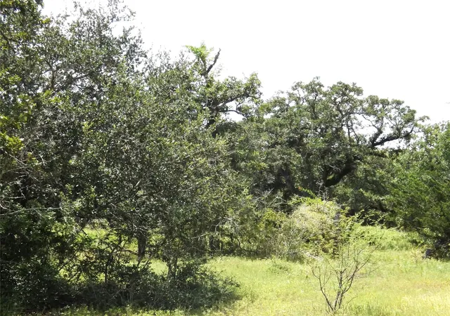 3rd image of Tbd Fm 109, Columbus, TX 78934 | MLS# 47754952
