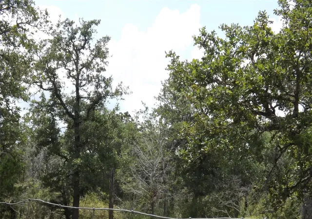 4th image of Tbd Fm 109, Columbus, TX 78934 | MLS# 47754952