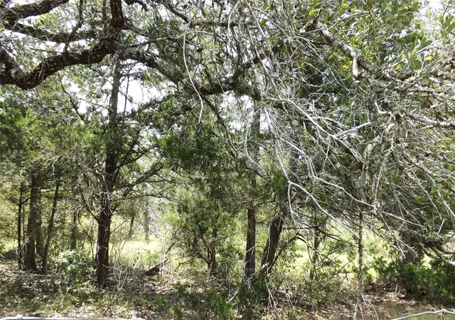 5th image of Tbd Fm 109, Columbus, TX 78934 | MLS# 47754952