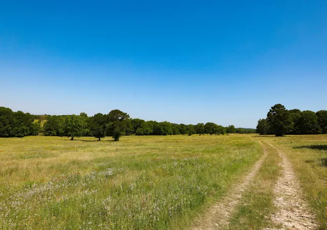 19th image of Tract #8 Cr 305 Rd, Navasota, TX 77868 | MLS# 17918249