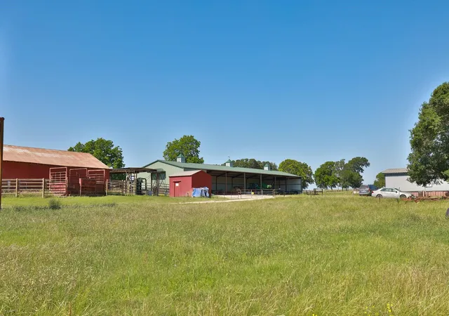 3rd image of Tract #8 Cr 305 Rd, Navasota, TX 77868 | MLS# 17918249