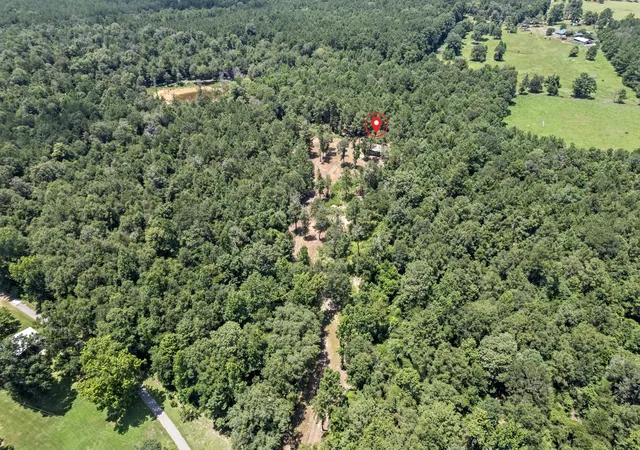 48th image of 1111 County Road 4370, Woodville, TX 75979 | MLS# 76609562