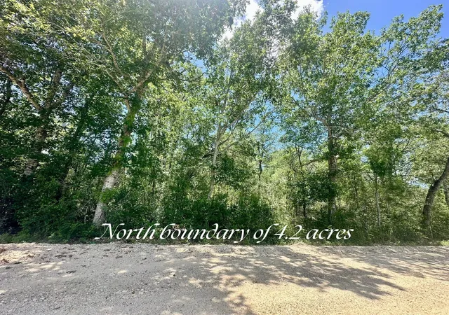 Photo 3 of Land for sale at 0 Santee Ln, Washington, TX 77880 | MLS# 12881559 | Listing updated on 2026-08-21