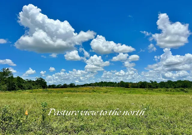 Photo 3 of Land for sale at 0 Santee Ln, Washington, TX 77880 | MLS# 12881559 | Listing updated on 2026-08-21