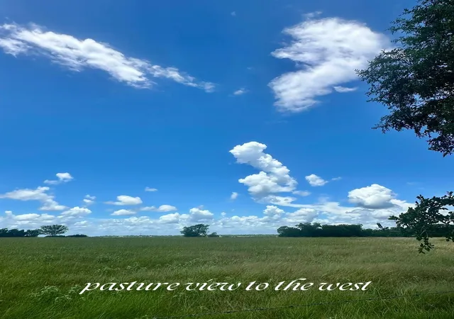 Photo 4 of Land for sale at 0 Santee Ln, Washington, TX 77880 | MLS# 12881559 | Listing updated on 2026-08-21