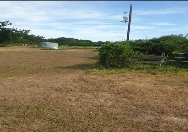 Photo 4 of Single family home for sale at 885 Bullock Rd, Palacios, TX 77957 | MLS# 61475627 | Listing updated on 2026-08-13