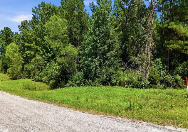 3rd image of 2-6-68 Hereford Trl, Huntsville, TX 77340 | MLS# 50153732