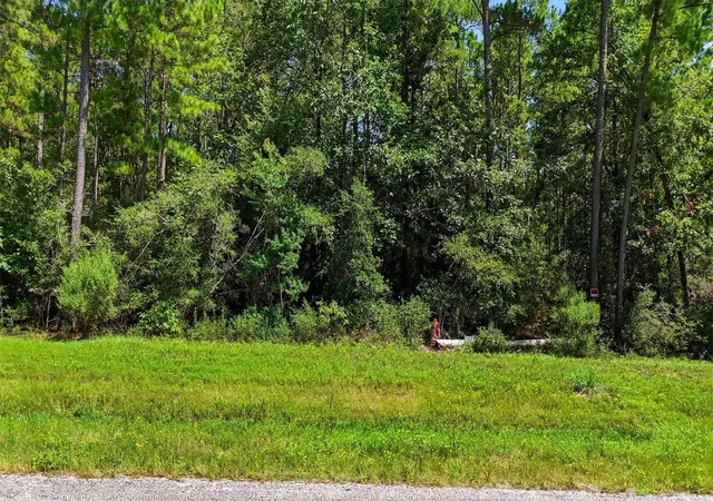 4th image of 2-6-68 Hereford Trl, Huntsville, TX 77340 | MLS# 50153732