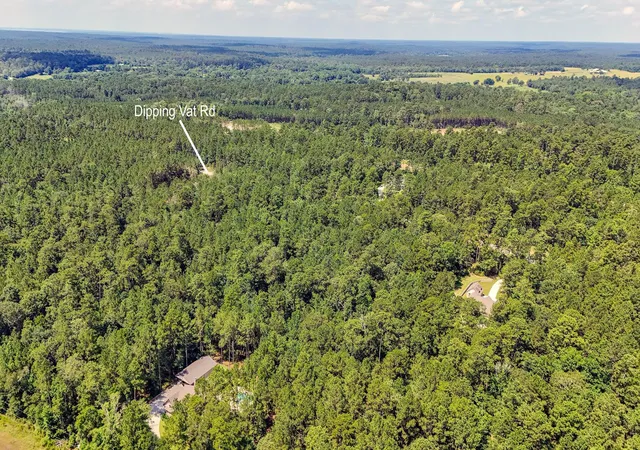 9th image of 152 Acres Dipping Vat Rd, Huntsville, TX 77340 | MLS# 79033764