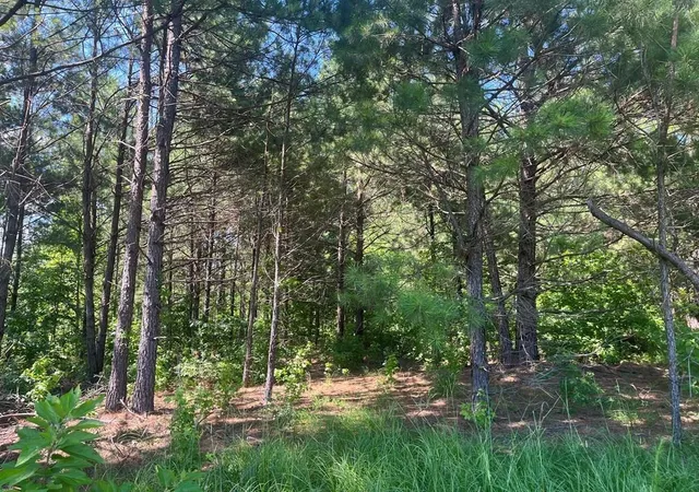 image of 251 Pr 7701, San Augustine, TX 75972 | MLS# 84667597