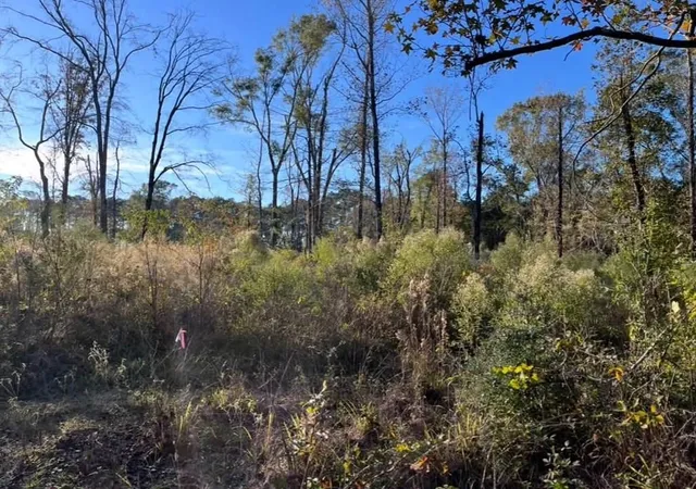 image of 251 Pr 7701, San Augustine, TX 75972 | MLS# 84667597