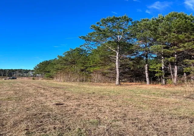 image of 251 Pr 7701, San Augustine, TX 75972 | MLS# 84667597