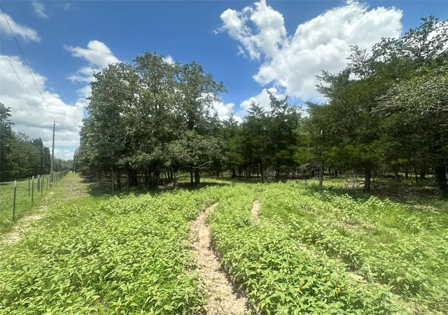 Photo 2 of Sale Pending at 3351 W I 10 Frontage Rd, Flatonia, TX 78941 | MLS# 36601536 | Listing updated on 2026-09-07