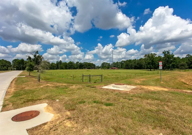 21st image of 9247 Crockett Martin Rd, Conroe, TX 77306 | MLS# 62716573