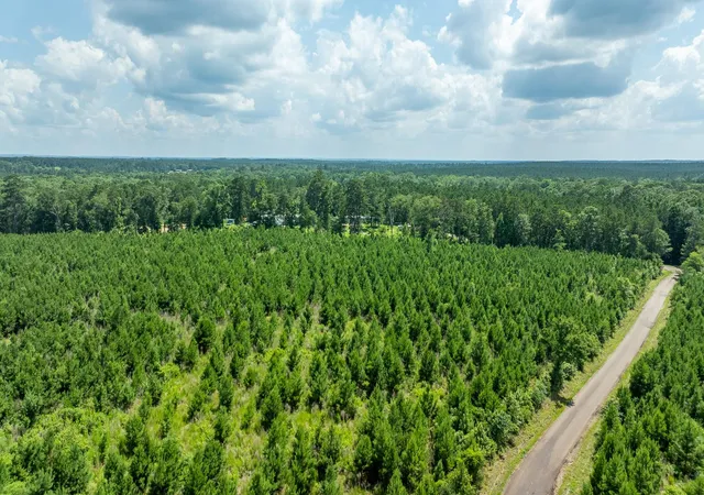 Photo 2 of Land for sale at Tbd Sandy Creed Rd, Zavalla, TX 75980 | MLS# 65797081 | Listing updated on 2026-08-21