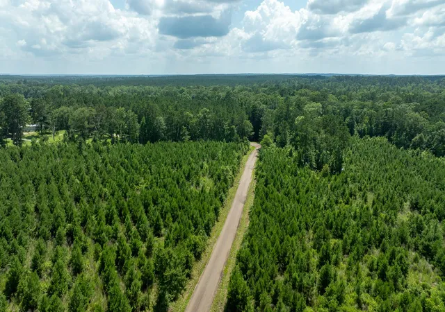 Photo 3 of Land for sale at Tbd Sandy Creed Rd, Zavalla, TX 75980 | MLS# 65797081 | Listing updated on 2026-08-21