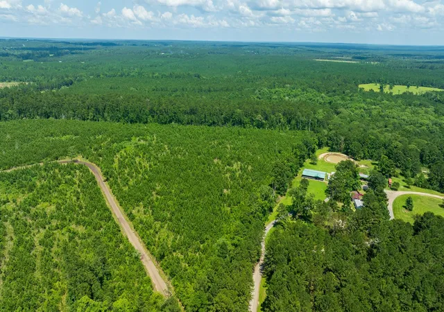 Photo 3 of Land for sale at Tbd Sandy Creed Rd, Zavalla, TX 75980 | MLS# 65797081 | Listing updated on 2026-08-21