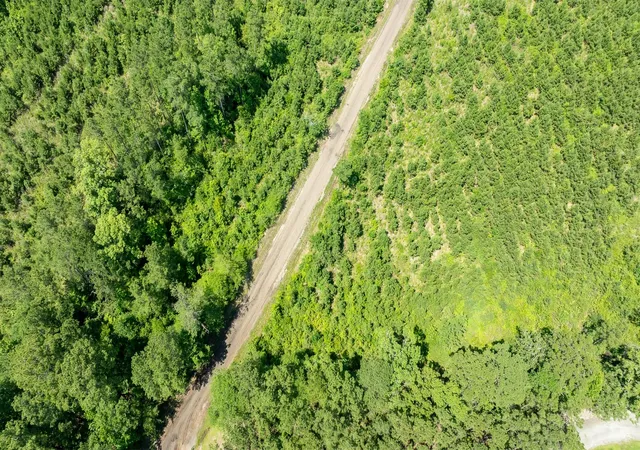 Photo 4 of Land for sale at Tbd Sandy Creed Rd, Zavalla, TX 75980 | MLS# 65797081 | Listing updated on 2026-08-21