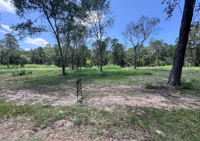 Photo 2 of Land for sale at Tbd County Rd 201 Loop, Plantersville, TX 77363 | MLS# 64213700 | Listing updated on 2026-08-11