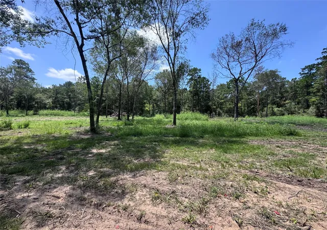 Photo 2 of Land for sale at Tbd County Rd 201 Loop, Plantersville, TX 77363 | MLS# 64213700 | Listing updated on 2026-08-11