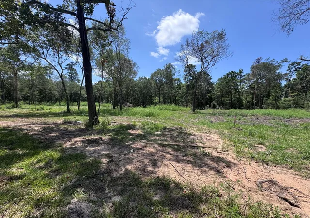 Photo 3 of Land for sale at Tbd County Rd 201 Loop, Plantersville, TX 77363 | MLS# 64213700 | Listing updated on 2026-08-11