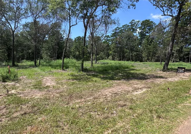 Photo 4 of Land for sale at Tbd County Rd 201 Loop, Plantersville, TX 77363 | MLS# 64213700 | Listing updated on 2026-08-11
