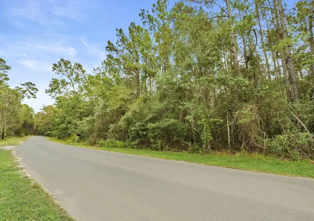 Photo 6 of Land for sale at Tbd County Rd 201 Loop, Plantersville, TX 77363 | MLS# 64213700 | Listing updated on 2026-08-11