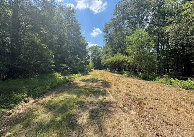 Photo 2 of Land for sale at Tbd Cr 3141 W Rd, Cleveland, TX 77327 | MLS# 42392816 | Listing updated on 2026-08-15