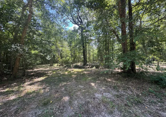 Photo 3 of Land for sale at Tbd Cr 3141 W Rd, Cleveland, TX 77327 | MLS# 42392816 | Listing updated on 2026-08-15