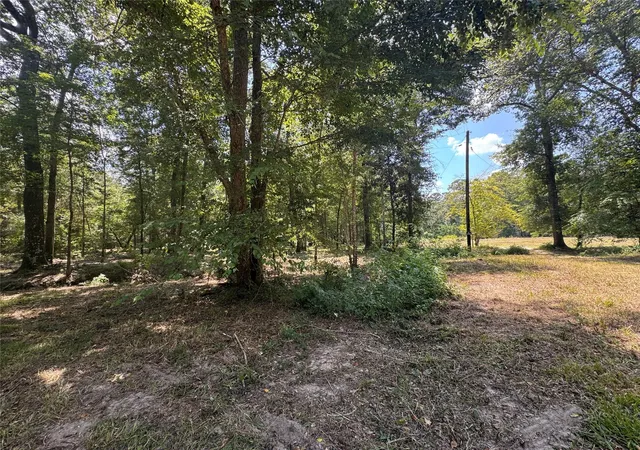 Photo 4 of Land for sale at Tbd Cr 3141 W Rd, Cleveland, TX 77327 | MLS# 42392816 | Listing updated on 2026-08-15