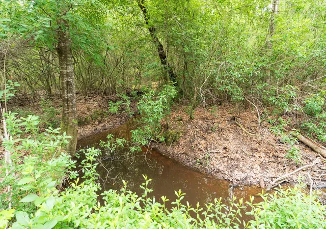 5th image of Tbd Fm 770, Kountze, TX 77625 | MLS# 6162952