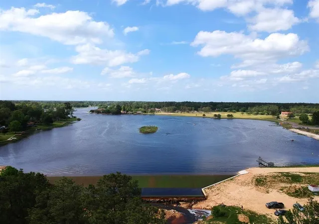 Photo 4 of Land for sale at 0000 W Wildwood Dr, Village Mills, TX 77663 | MLS# 24425067 | Listing updated on 2026-09-28