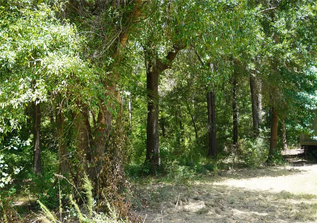 33rd image of 4733 Fm 943, Livingston, TX 77351 | MLS# 68038658
