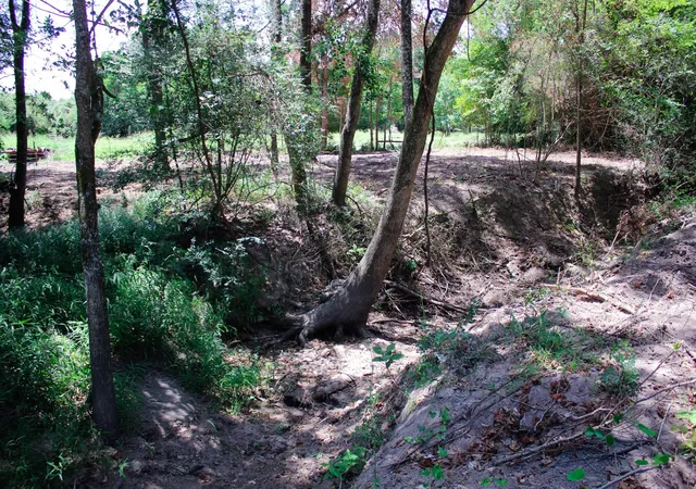 Photo 1 of Land for sale at 13 +/  Acres Greenbriar Rd, Madisonville, TX 77864 | MLS# 46069084 | Listing updated on 2026-08-25