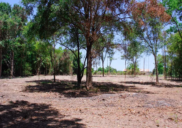 Photo 3 of Land for sale at 13 +/- Acres Greenbriar Rd, Madisonville, TX 77864 | MLS# 46069084 | Listing updated on 2026-08-25