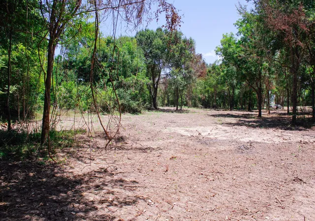 Photo 4 of Land for sale at 13 +/- Acres Greenbriar Rd, Madisonville, TX 77864 | MLS# 46069084 | Listing updated on 2026-08-25