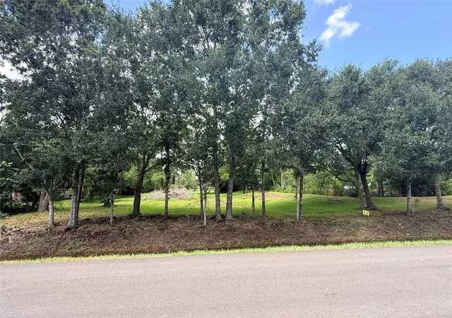 2nd image of 0 County Road 133, Alvin, TX 77511 | MLS# 60439994