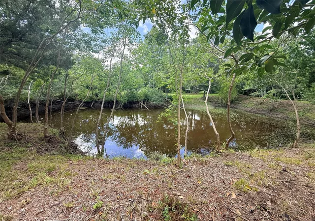 8th image of 0 County Road 133, Alvin, TX 77511 | MLS# 60439994