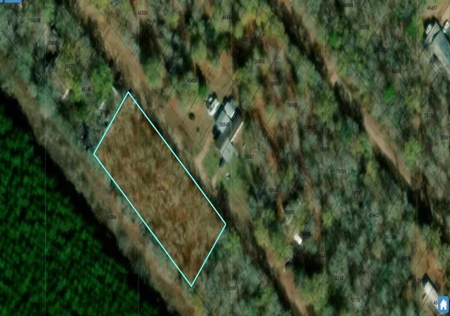 Photo 2 of Land for sale at 302 Terrell Rd, Livingston, TX 77351 | MLS# 92976624 | Listing updated on 2026-08-14