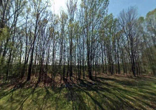 Photo 4 of Land for sale at 302 Terrell Rd, Livingston, TX 77351 | MLS# 92976624 | Listing updated on 2026-08-14