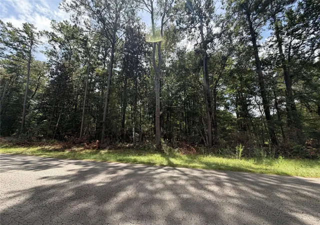 1st image of 0 W Black Gum Dr, Village Mills, TX 77663 | MLS# 22888902