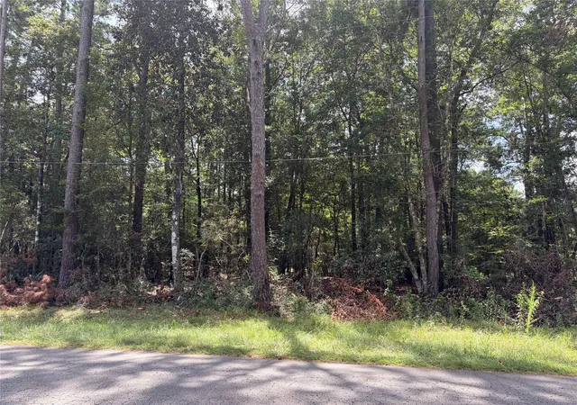 2nd image of 0 W Black Gum Dr, Village Mills, TX 77663 | MLS# 22888902
