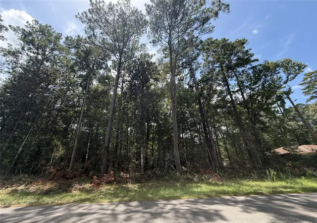 3rd image of 0 W Black Gum Dr, Village Mills, TX 77663 | MLS# 22888902