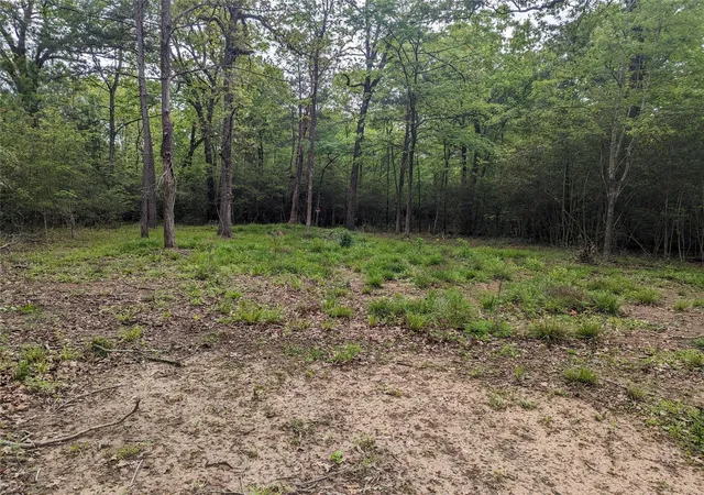 Photo 2 of Land for sale at 129 S Post Oak Point, Trinity, TX 75862 | MLS# 31588594 | Listing updated on 2026-08-10