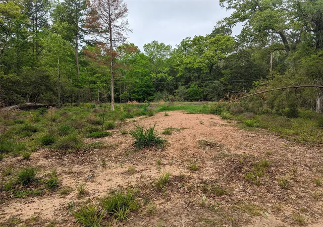 Photo 3 of Land for sale at 129 S Post Oak Point, Trinity, TX 75862 | MLS# 31588594 | Listing updated on 2026-08-10