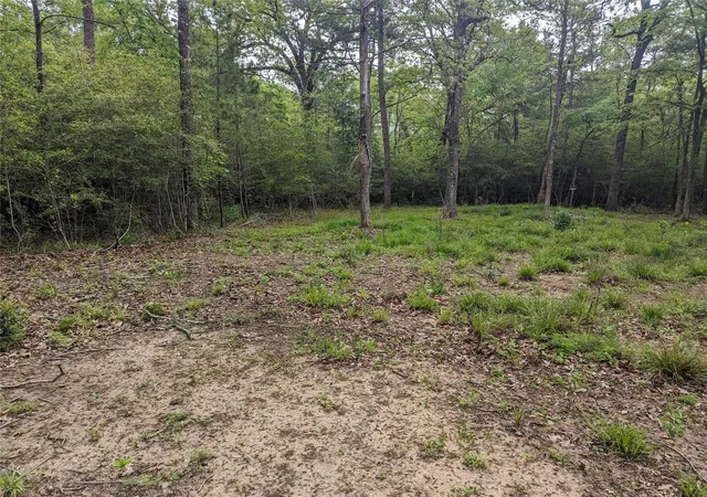 Photo 3 of Land for sale at 129 S Post Oak Point, Trinity, TX 75862 | MLS# 31588594 | Listing updated on 2026-08-10